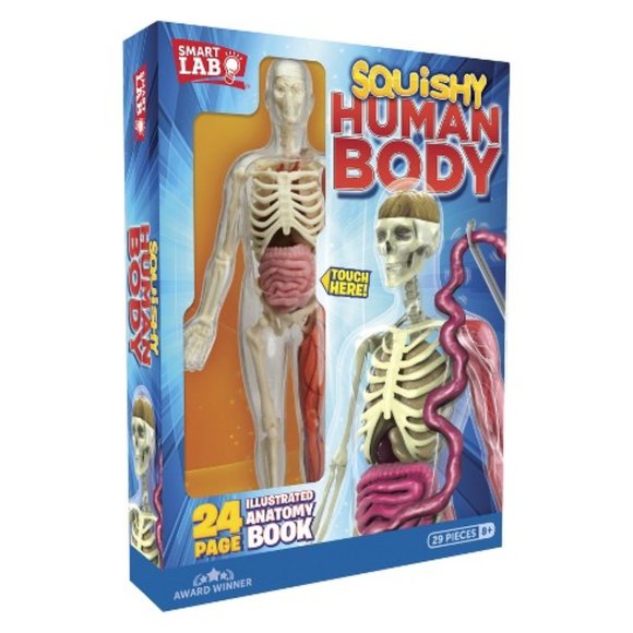 SmartLabs Toys Smartlab Stem Squishy Human Body Anatomy Kit Poshmark